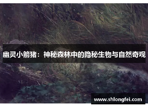 幽灵小箭猪：神秘森林中的隐秘生物与自然奇观